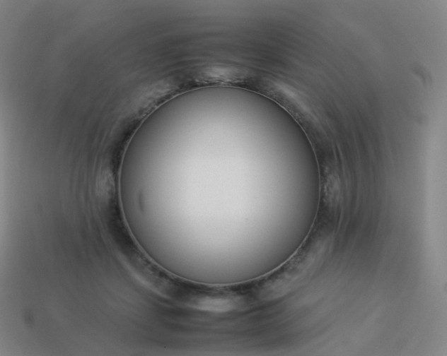 X0000113890459200910081812