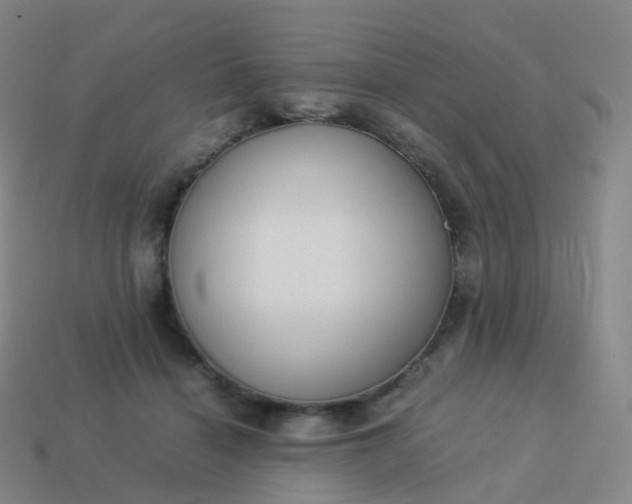 X0000113890460200910081812