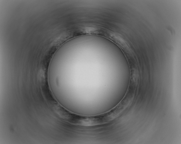 X0000113890461200910081812