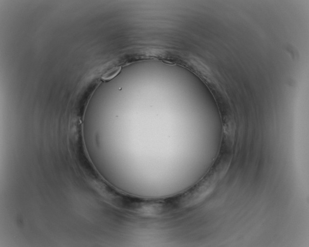 X0000113890462200910081812