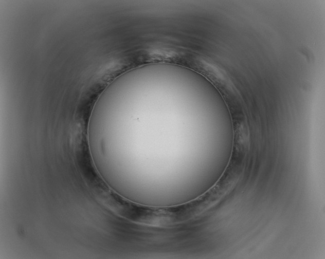 X0000113890463200910081812