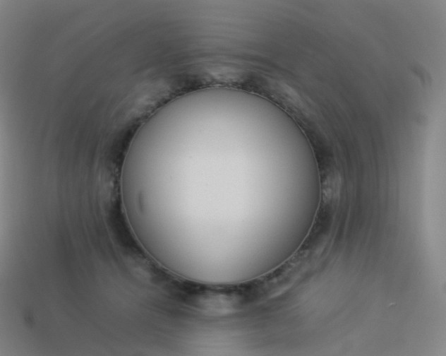 X0000113890464200910081812