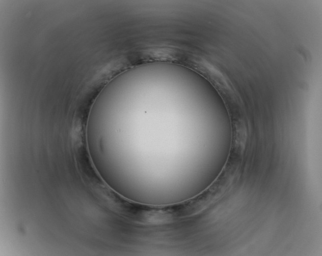 X0000113890465200910081812