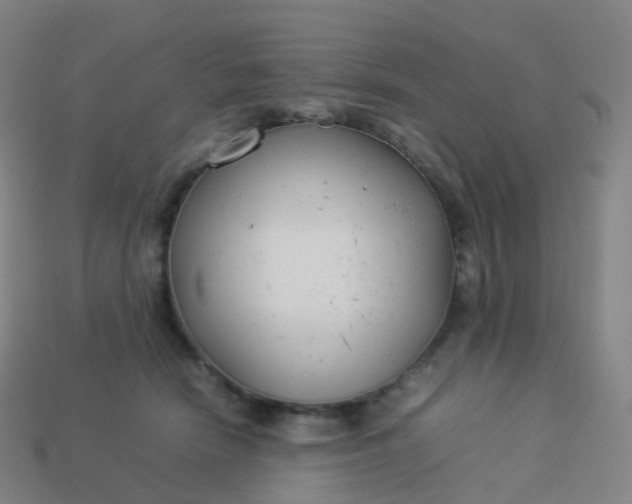 X0000113890466200910081812