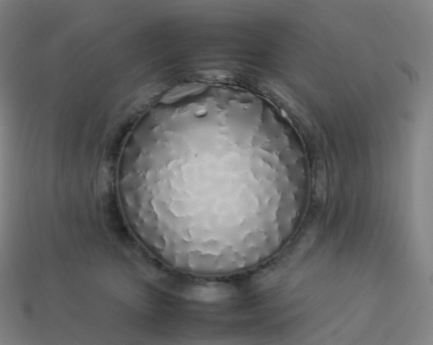 X0000113890467200910081812