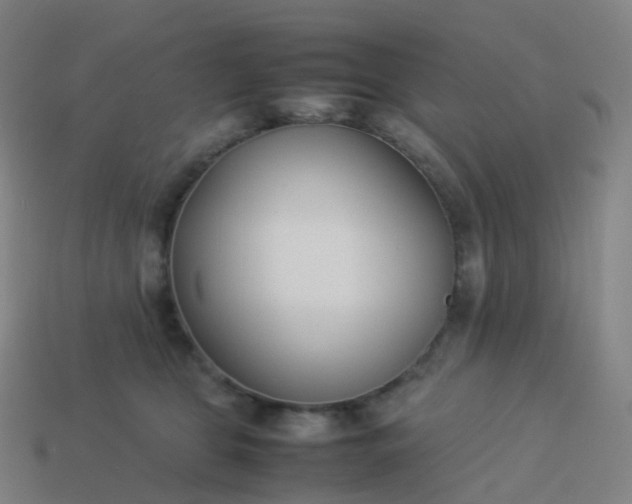 X0000113890469200910081812