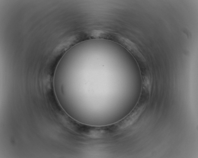 X0000113890470200910081812