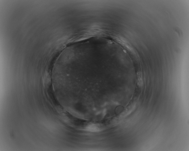 X0000113890471200910081812