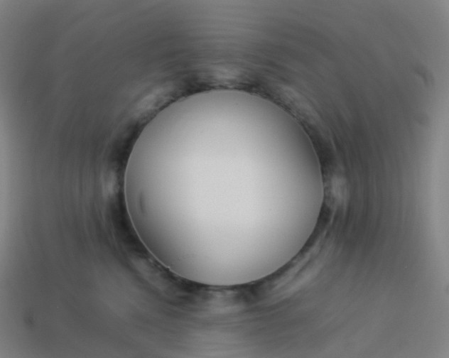 X0000113890472200910081812