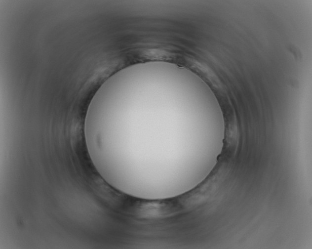 X0000113890473200910081812