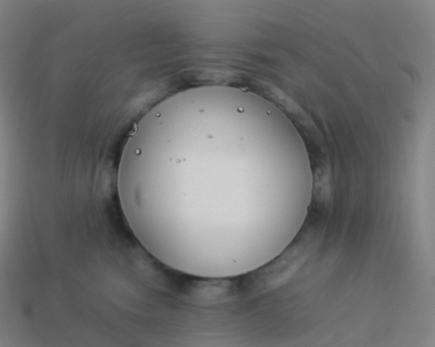 X0000113890474200910081812