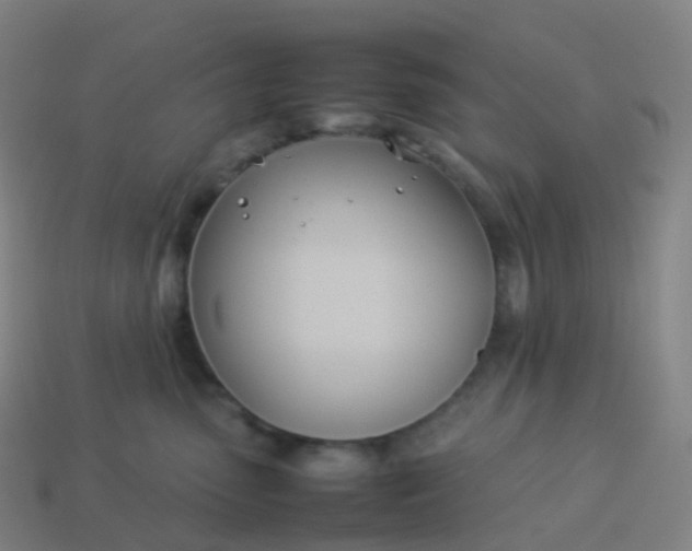 X0000113890475200910081812