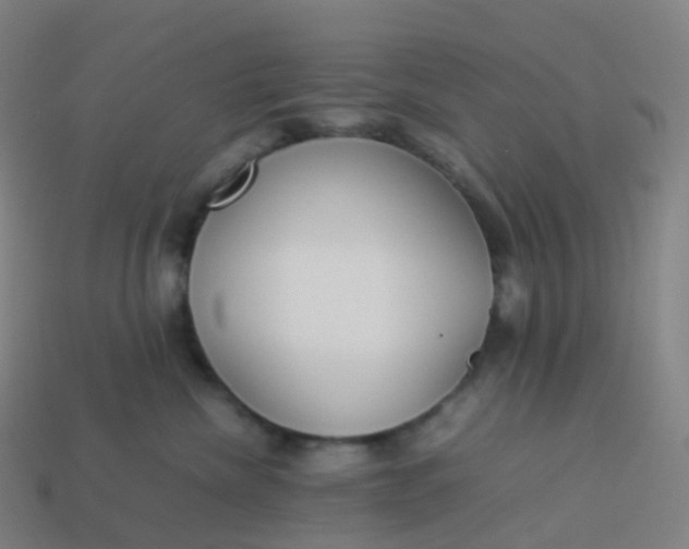 X0000113890476200910081812