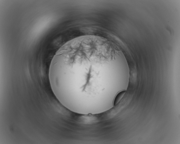 X0000113890477200910081812