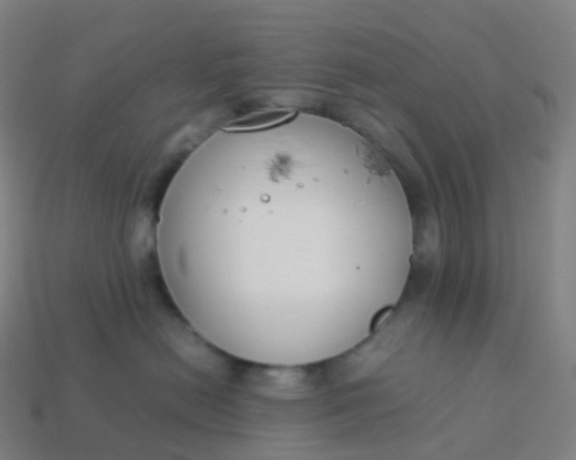 X0000113890478200910081812