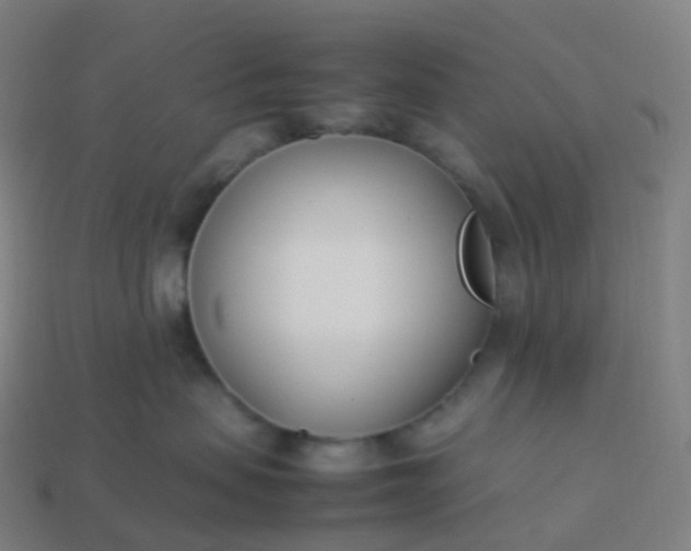 X0000113890479200910081812