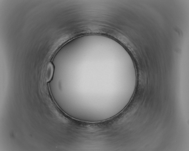 X0000113890481200910081811