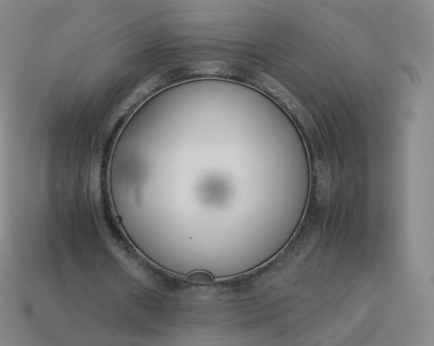 X0000113890482200910081811