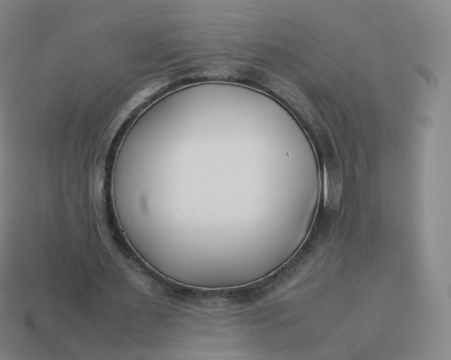 X0000113890483200910081811