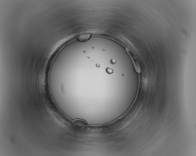 X0000113890484200910081811