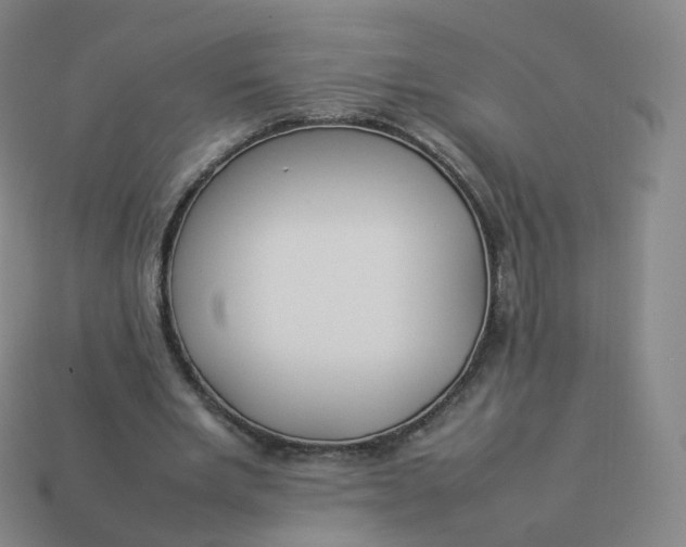 X0000113890485200910081811