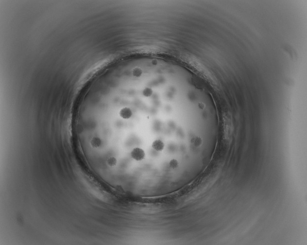 X0000113890486200910081811