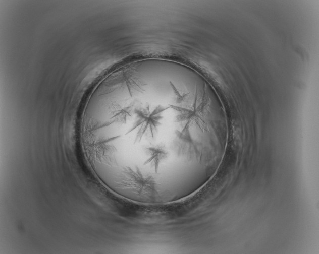 X0000113890487200910081811