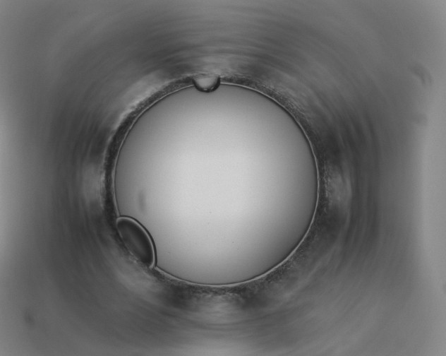 X0000113890488200910081811