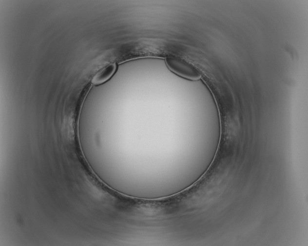 X0000113890489200910081811