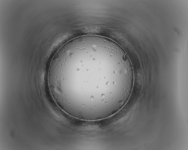 X0000113890491200910081811