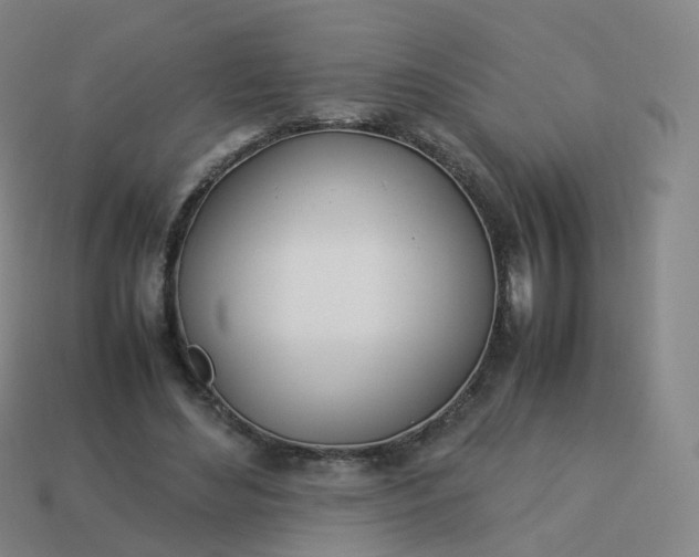 X0000113890492200910081811