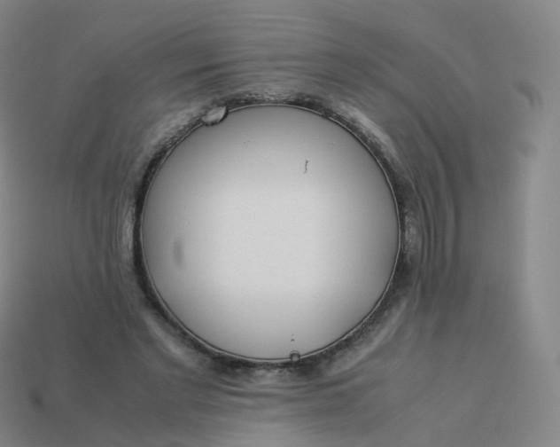 X0000113890493200910081811