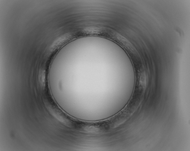 X0000113890494200910081811