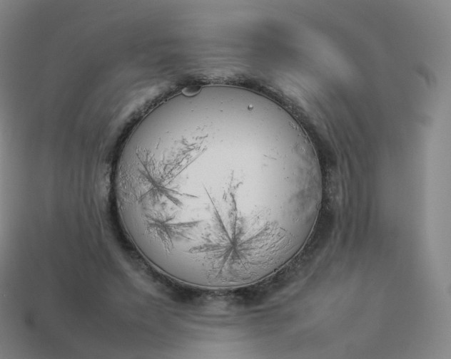 X0000113890495200910081811