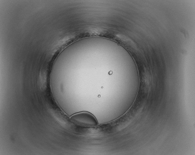 X0000113890496200910081811