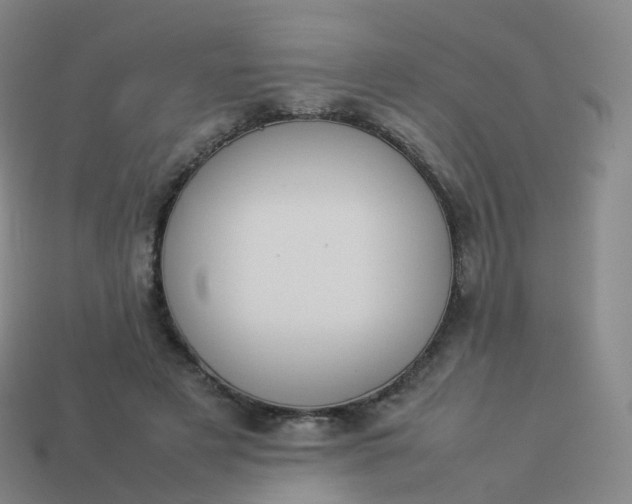 X0000113890497200910081811