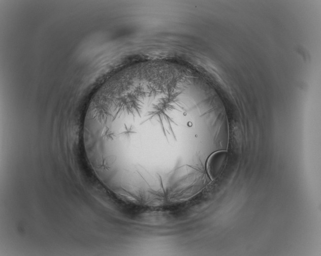 X0000113890499200910081811