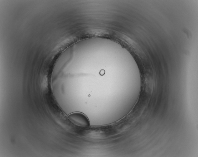 X0000113890500200910081811