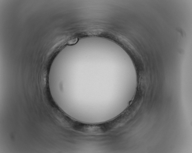 X0000113890501200910081811