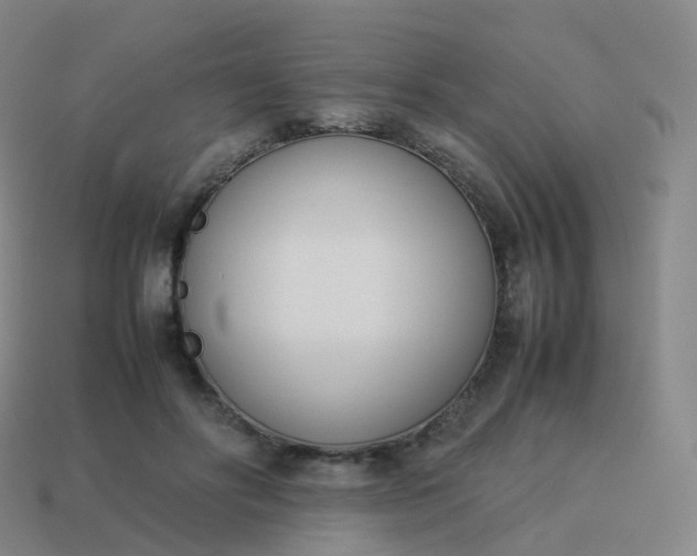 X0000113890502200910081811