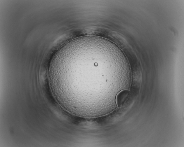 X0000113890503200910081811