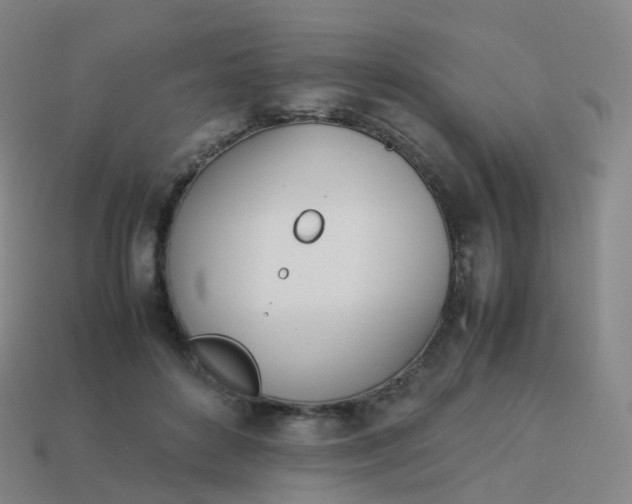 X0000113890504200910081811