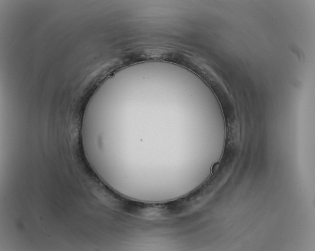 X0000113890505200910081811