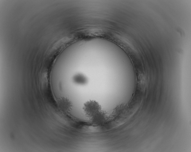 X0000113890506200910081811