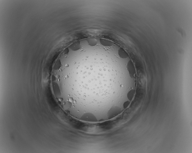 X0000113890507200910081811