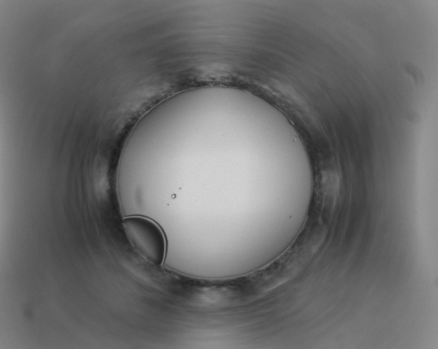 X0000113890508200910081811