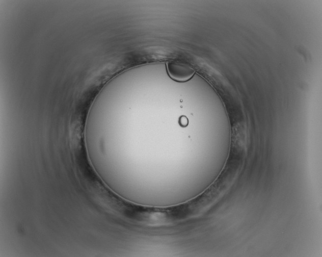 X0000113890509200910081811