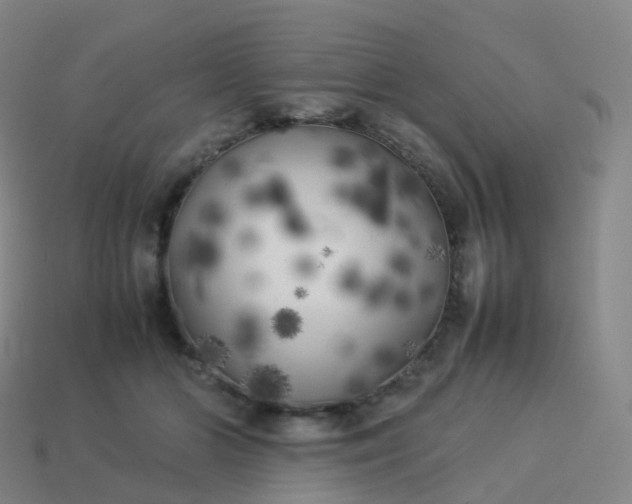 X0000113890510200910081811