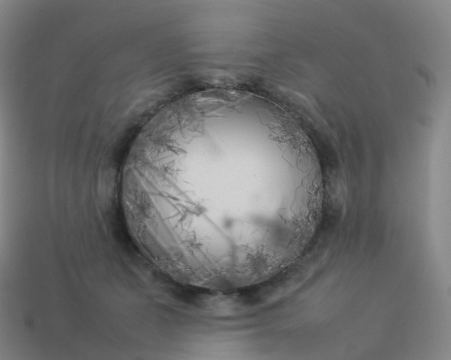 X0000113890511200910081811