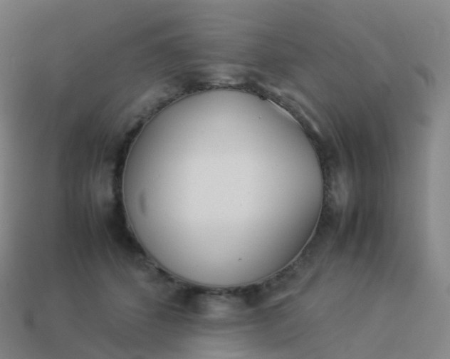 X0000113890512200910081811